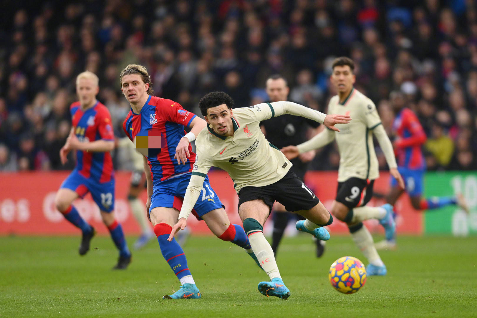 球队可能会 球队可能会